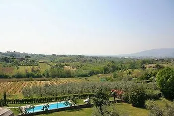 Melograni Capannori