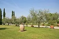 Melograni Capannori